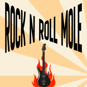 rock n roll mole TT